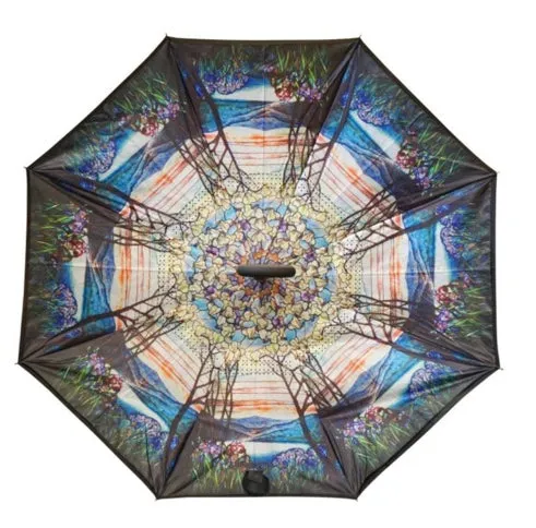 Topsy Turvy Umbrellas